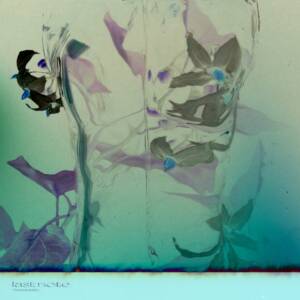 Cover art for『Omoinotake - last note』from the release『last note』