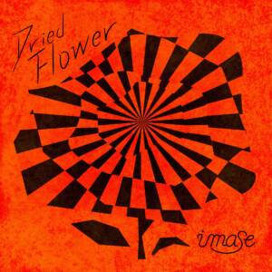 Cover art for『imase - Dried Flower』from the release『Dried Flower』