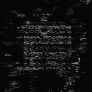Cover art for『KAMI WA SAIKORO WO FURANAI - Silversalt』from the release『Silversalt』