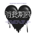 『SEVENTEEN - 消費期限』収録の『消費期限』ジャケット