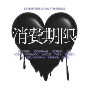 『SEVENTEEN - 消費期限』収録の『消費期限』ジャケット