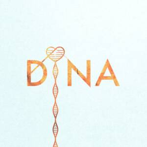 Cover art for『Yuuri - DiNA』from the release『DiNA』