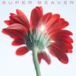 『SUPER BEAVER - 片想い』収録の『片想い / 涙の正体』ジャケット