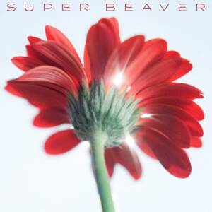 『SUPER BEAVER - 涙の正体』収録の『片想い / 涙の正体』ジャケット