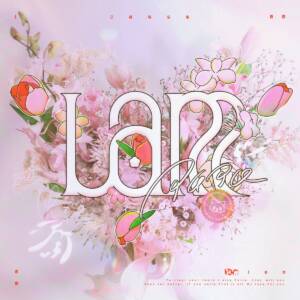 Cover art for『Kohana Lam - Tonight - Sleeping Under The Moon』from the release『lam』