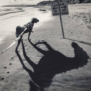 Cover art for『WANIMA - MIYASHITA』from the release『Off-Leash』