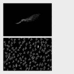 『星野源 - いきどまり』収録の『いきどまり』ジャケット