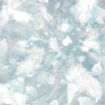 Cover art for『Oisicle Melonpan - Reincarnation』from the release『Reincarnation』