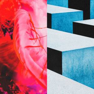 Cover art for『Tatsuya Kitani feat. BABYMETAL - Kasuka na Hana』from the release『Kasuka na Hana』