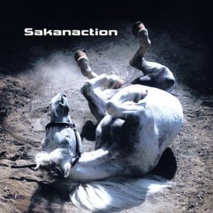 Cover art for『Sakanaction - Tabun, Kaze.』from the release『Tabun, Kaze.』